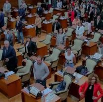 C&oacute;mo queda conformada la Legislatura despu&eacute;s de las elecciones 2025