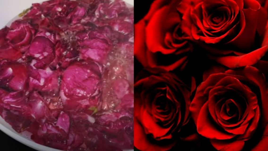 El poderoso ritual secreto con rosas para atraer abundancia y amor a tu vida