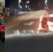 Escándalo en Córdoba: la decisión que tomó la Iglesia con el cura que acosaba camioneros