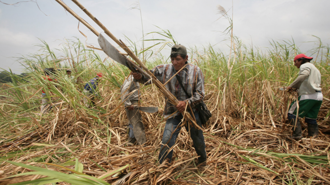 Arrancan las paritarias del az�car y los gremios piden un salario b�sico de $1.800.000