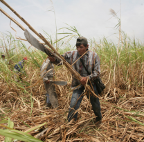 Arrancan las paritarias del azúcar y los gremios piden un salario básico de $1.800.000
