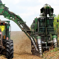 Clima tenso en Jujuy: azucareros exigen un sueldo mínimo de $1.800.000