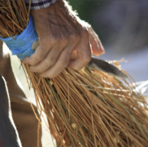Por un "ajuste de cuentas" le clavaron un palo de escoba a un norteño
