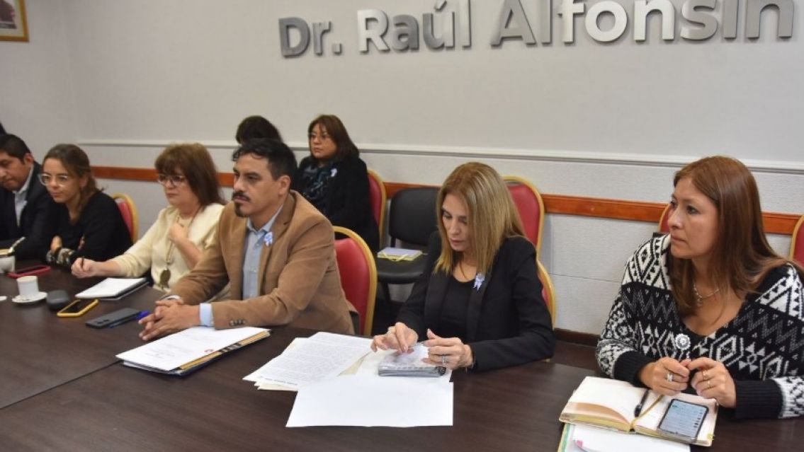 Así es el proyecto de Salud Mental que tratarán los diputados en Jujuy