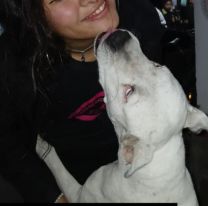 Denuncian que estarían desapareciendo perros en el "Buñuelódromo"