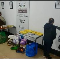 Parecían almohadas, peluches y golosinas: jujeñas presas por esconder drogas