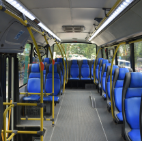  Se desvió, cerró las puertas y apagó luces: chofer abusó de una nena de 15