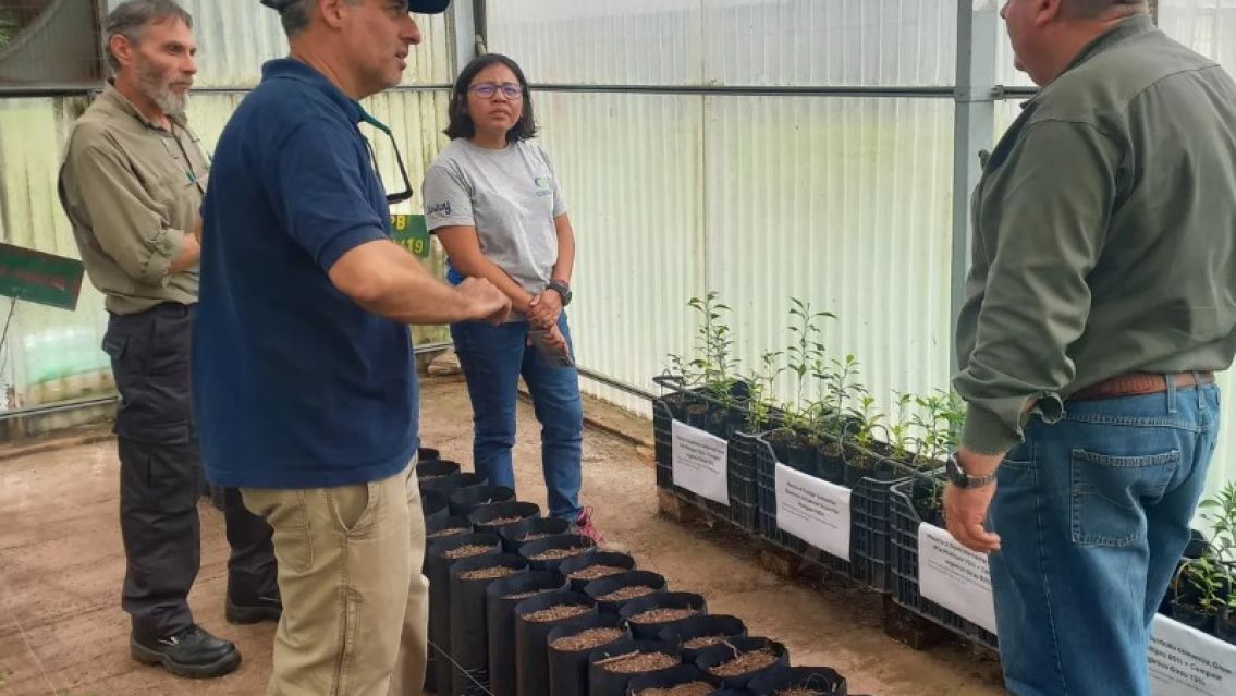GIRSU Jujuy y el INTA promueven el compost como insumo agrícola