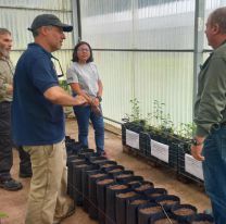GIRSU Jujuy y el INTA promueven el compost como insumo agrícola