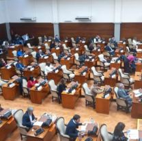 Se espera una jornada muy picante en la legislatura de Jujuy: ¿Qué se debate?