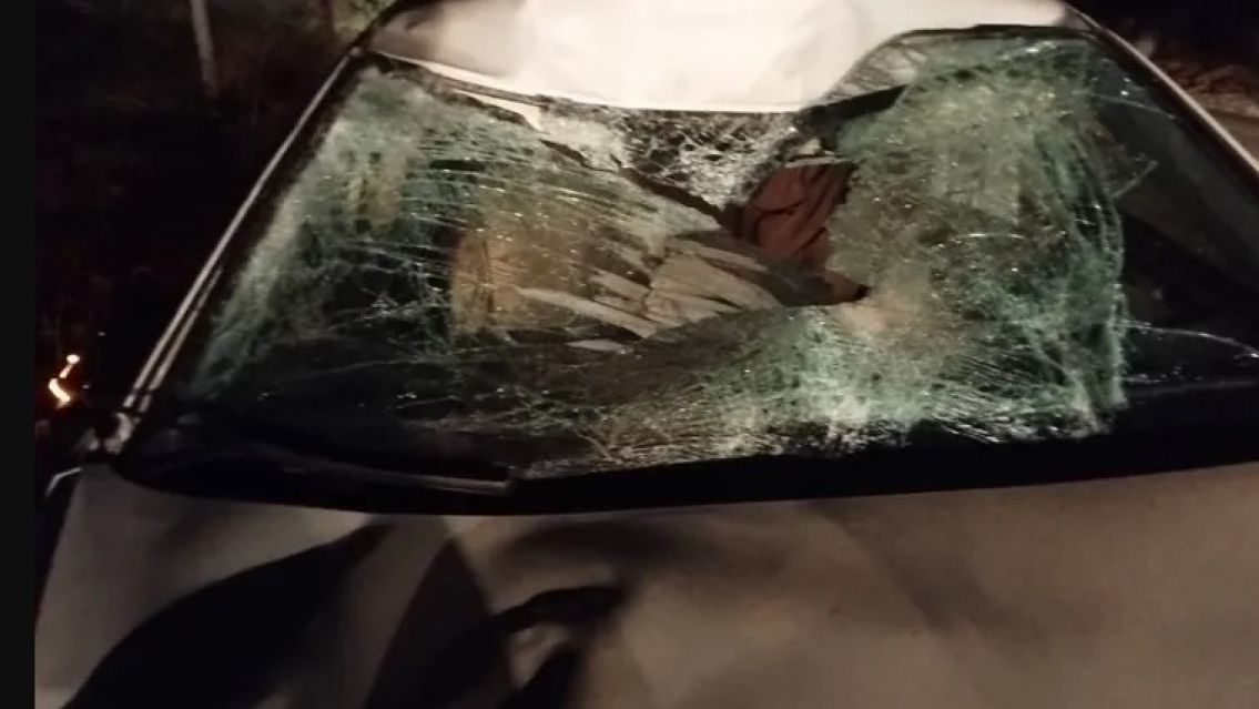 Juje�a choc� con un caballo en ruta 9