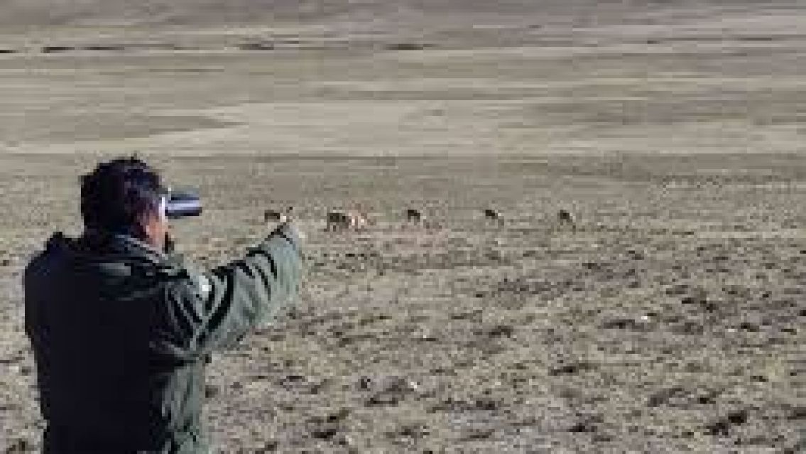 Juje�a hac�a un censo de vicu�as, sali� un tipo y le apunt� con un rifle 