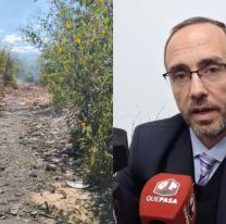 Confirman que los restos hallados son de Tamara Fierro