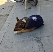 Jujeños salieron a repartir abrigo para los callejeritos