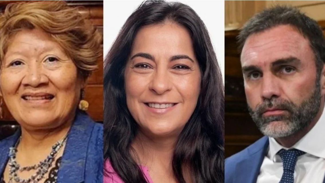 Vilma Beddia sería la senadora nacional de Jujuy con peor imagen según las encuestas