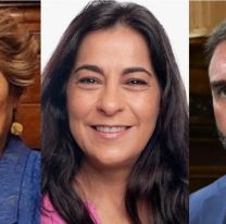 Vilma Beddia sería la senadora nacional de Jujuy con peor imagen según las encuestas