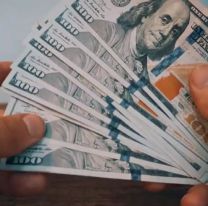 Más de un millón de personas compraron dólares en el primer mes sin cepo cambiario