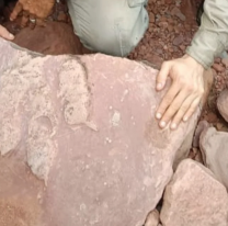 Histórico descubrimiento en Jujuy: hallaron más de 500 huellas de dinosaurios