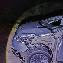 Otra vez un caballo causó un tremendo choque en Jujuy