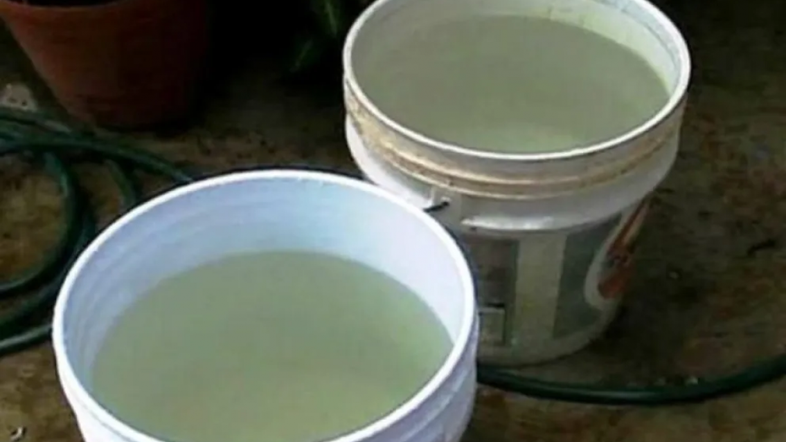 Bebé cayó dentro de un balde con lavandina y está grave