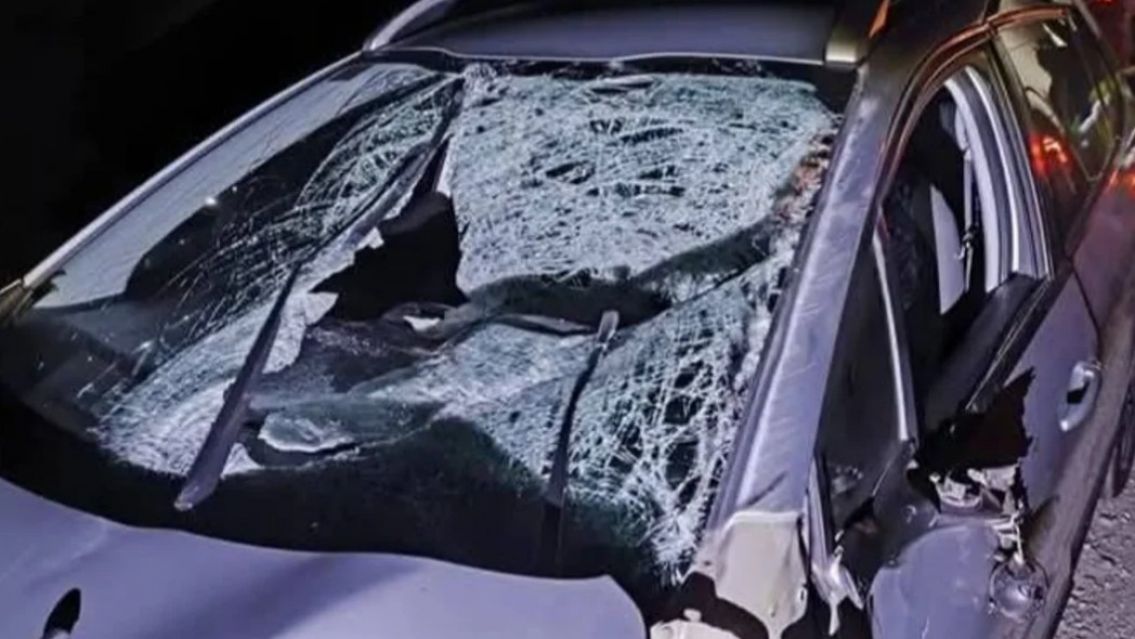 Brutal choque en Libertador por un caballo suelto: Se salvaron de milagro