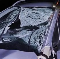 Brutal choque en Libertador por un caballo suelto: Se salvaron de milagro