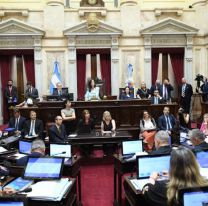 Los Senadores Nacionales se volvieron a subir el sueldo: ¿Cuántos millones cobrarán?