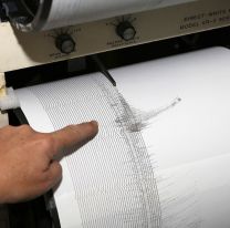 Fuerte sismo despertó a los jujeños: "se movió todo" 