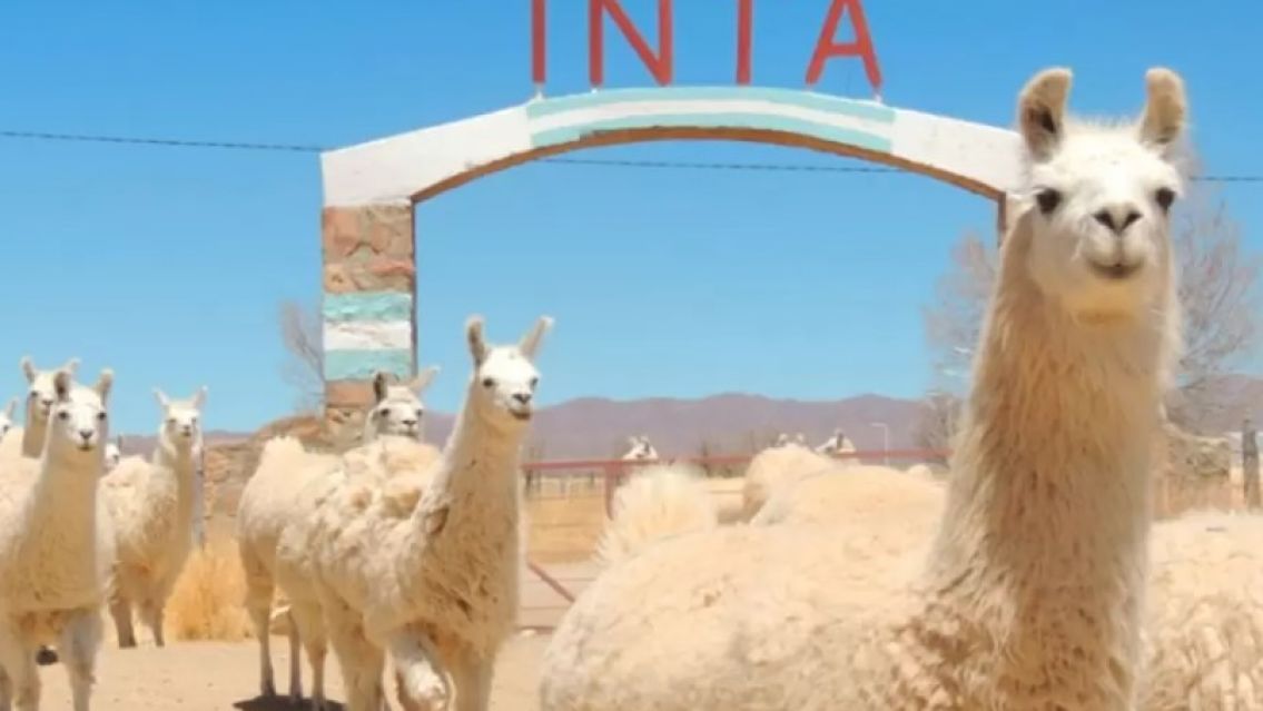 Preocupaci�n en Jujuy por posibles recortes y cierre de agencias del INTA