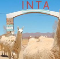 Preocupación en Jujuy por posibles recortes y cierre de agencias del INTA