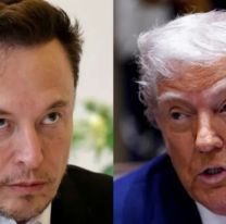 Elon Musk acusó a Donald Trump de "estar en los archivos de Jeffrey Epstein" y solicitó un juicio político