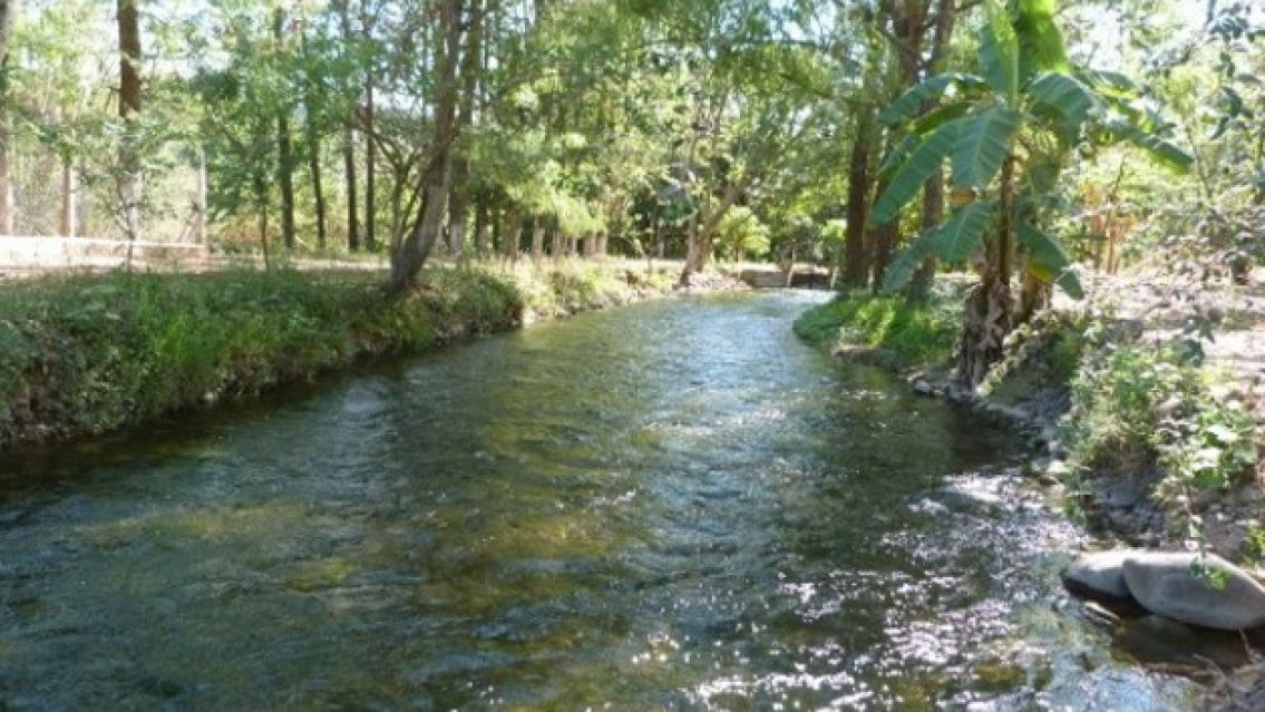 Contaminación en Calilegua: la Corte de Justicia convocó a una audiencia