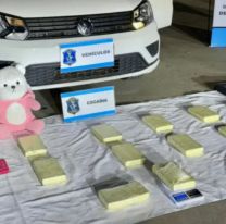 Banda narco se hacía pasar por una familia y escondían todo en un oso de peluche