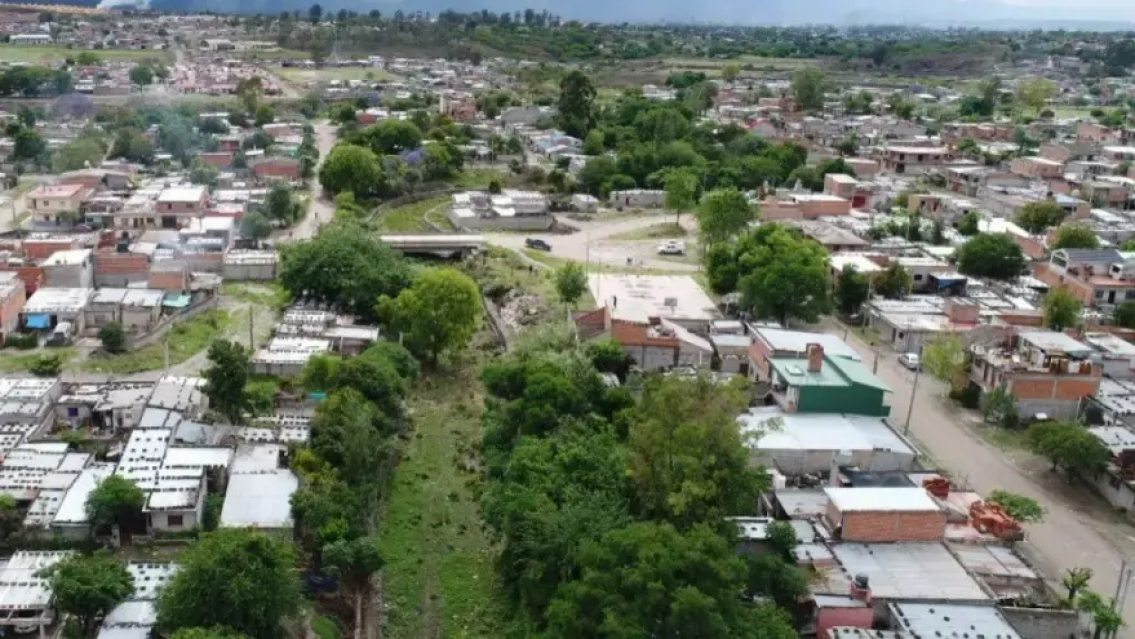 "Los perros se comen entre ellos": grave denuncia en Alto Comedero