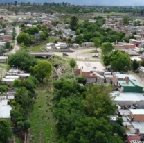 "Los perros se comen entre ellos": grave denuncia en Alto Comedero