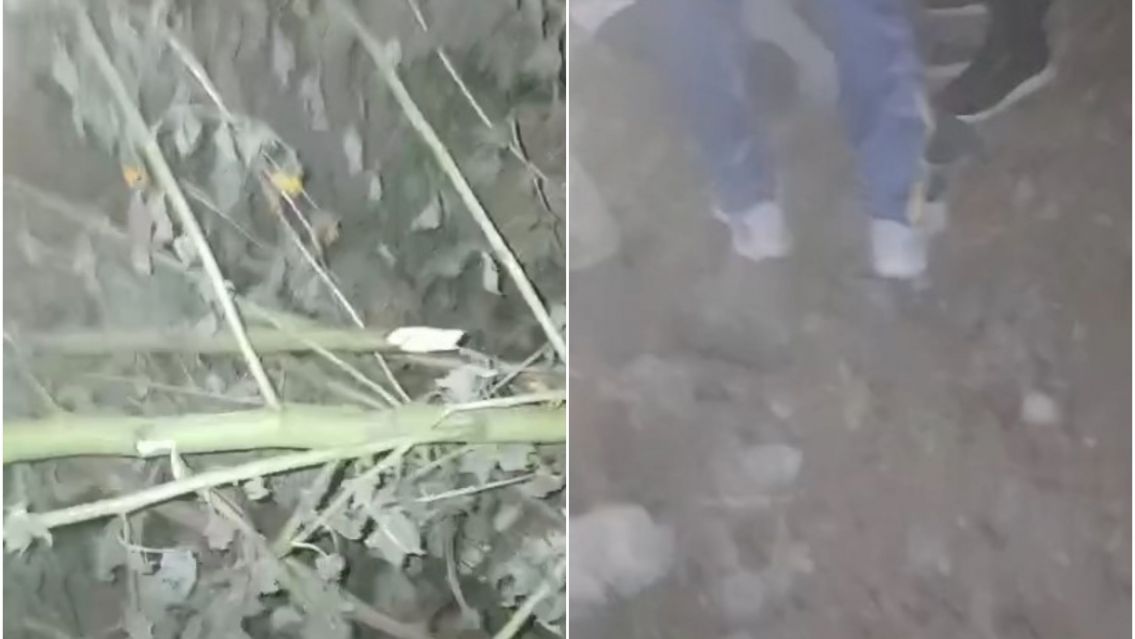 Jujeños atraparon a un ladrón y lo filmaron: varios lo reconocieron