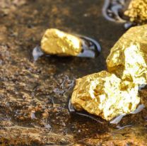 Agricultor encontró una fortuna en oro, pero el Estado le quitará casi todo