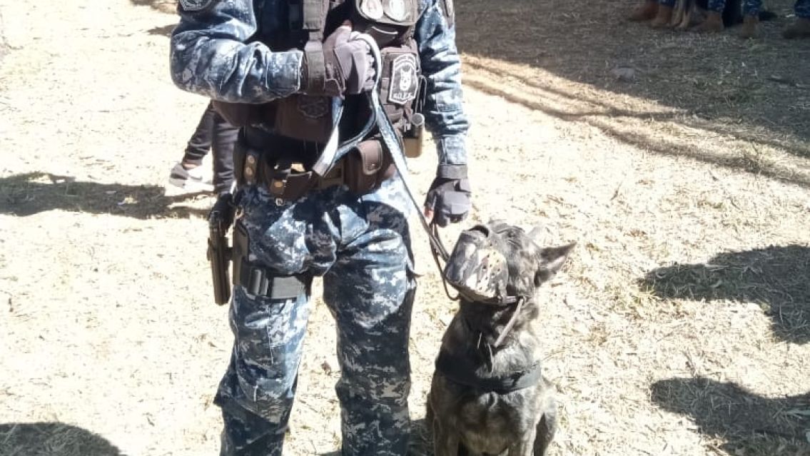 Perro héroe salvó a un policía jujeño de ser acuchillado