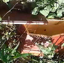 Apareció un ataúd de bebé en el norte y aterró a todos: "muy cerca de Jujuy"