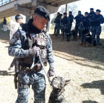 Mega operativo policial terminó con la captura de un peligroso delincuente armado