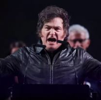 La reacci&oacute;n de Milei al conocer el fallo de la Corte que conden&oacute; a CFK: "Justicia, la rep&uacute;blica funciona"