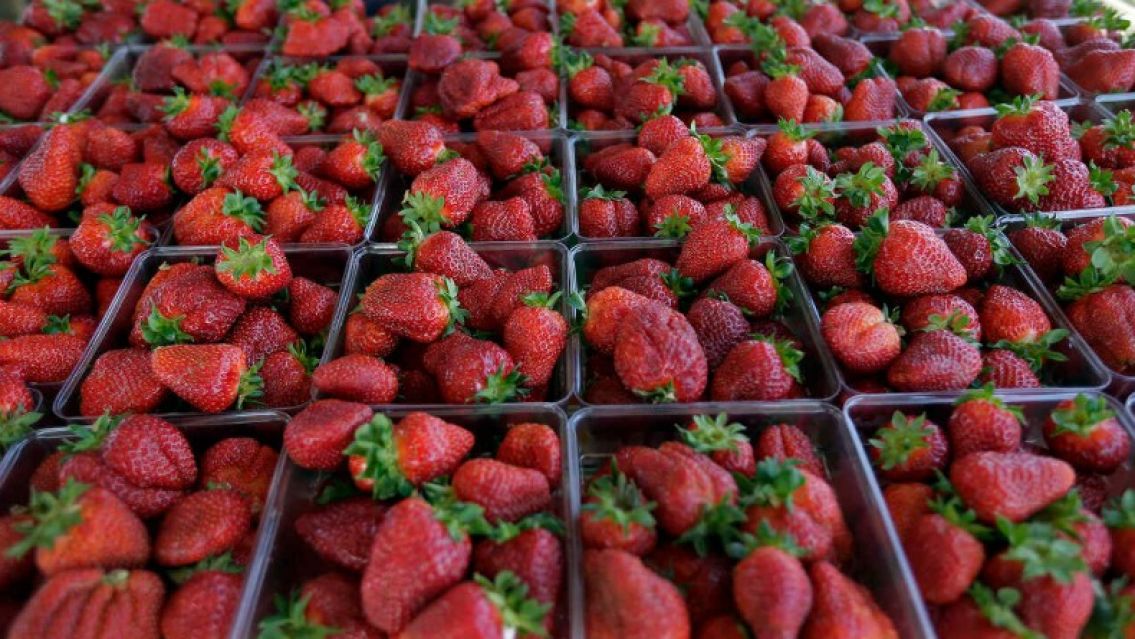 La caja de frutillas se vende a más de $30 mil pesos en Jujuy