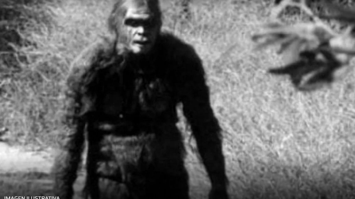 Aseguran haber visto al Ucumar en un monte: el video de la misteriosa criatura