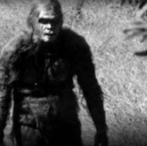 Aseguran haber visto al Ucumar en un monte: el video de la misteriosa criatura