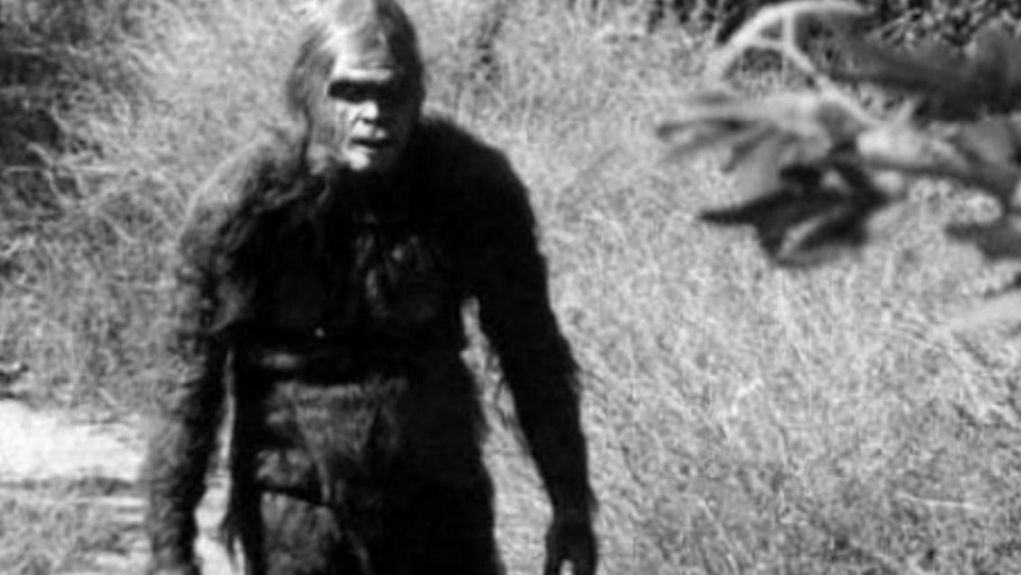 Salteño asegura que el Ucumar intentó raptarlo: "Me cargó al hombro"