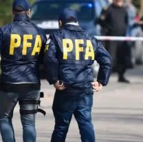 Reforma de la Policía Federal: Dentención sin orden judicial y búsqueda en las redes