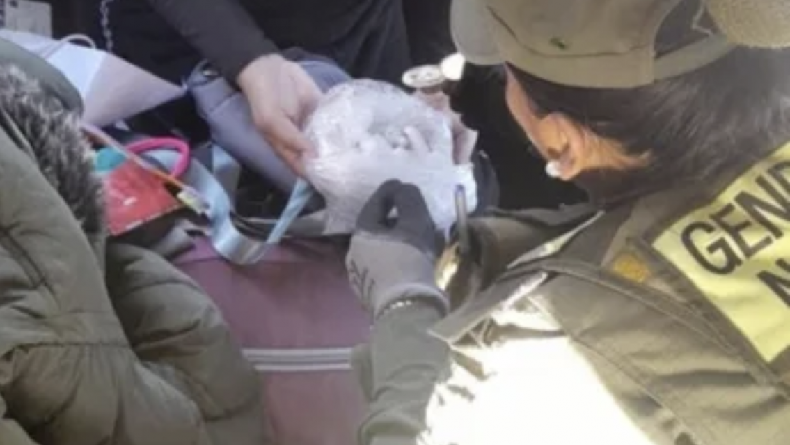 Tragó más de 100 cápsulas de droga y la agarraron en un control norteño