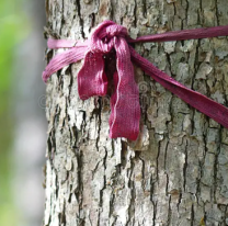 Tendencia que crece a pasos agigantados: el árbol de la prosperidad