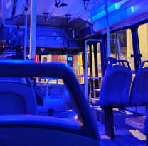 Hay discusión por los jóvenes que no ceden el asiento en el colectivo