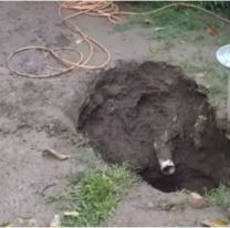 Filtraron detalles del hallazgo sin vida de un changuito en un pozo ciego